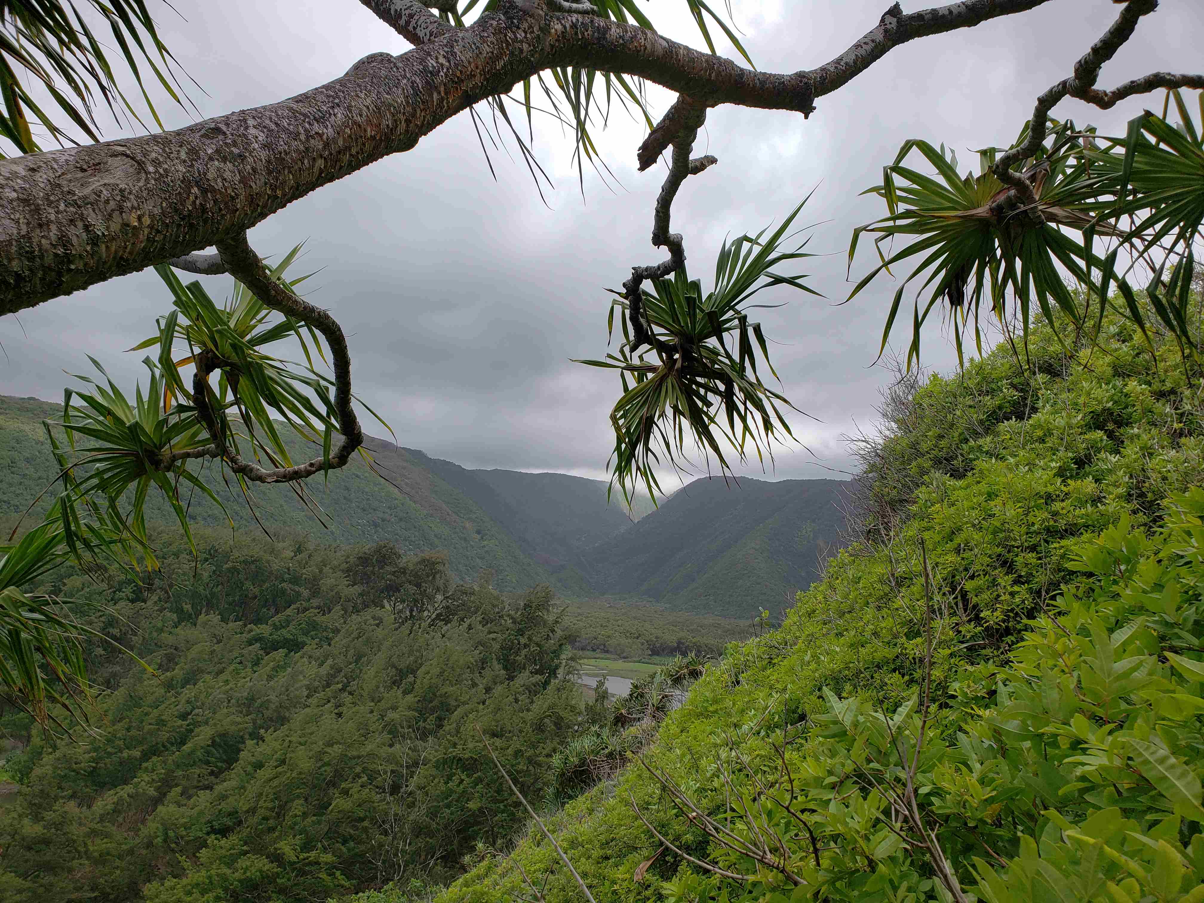2018-05-19 Pololu Valey.jpg